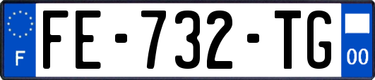 FE-732-TG