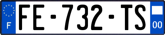 FE-732-TS