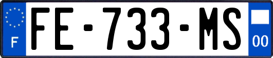 FE-733-MS