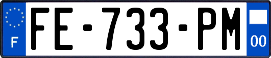 FE-733-PM