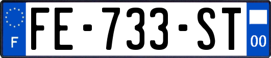 FE-733-ST