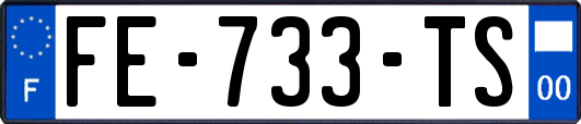 FE-733-TS