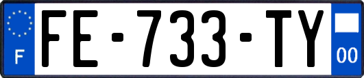 FE-733-TY