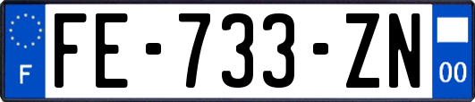 FE-733-ZN