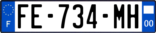 FE-734-MH