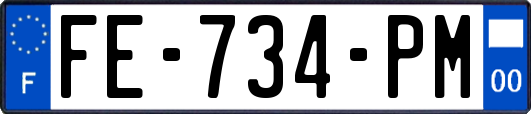 FE-734-PM