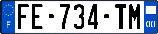 FE-734-TM
