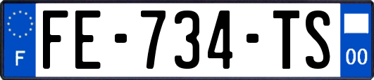 FE-734-TS