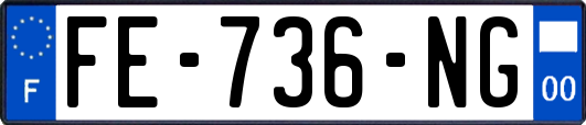 FE-736-NG