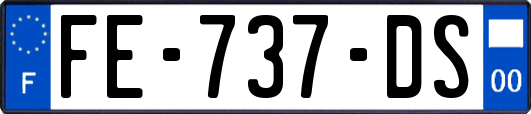 FE-737-DS