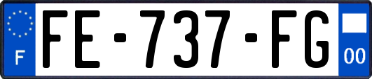 FE-737-FG
