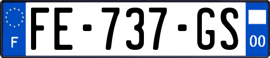 FE-737-GS