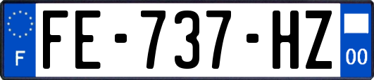 FE-737-HZ