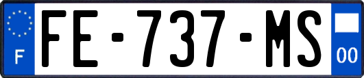 FE-737-MS