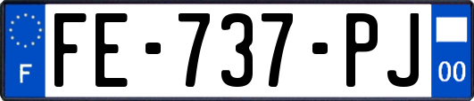 FE-737-PJ