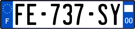 FE-737-SY