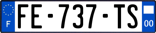 FE-737-TS