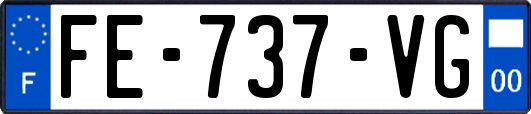 FE-737-VG