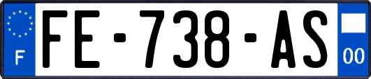 FE-738-AS