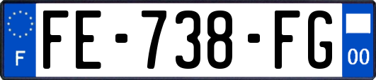 FE-738-FG