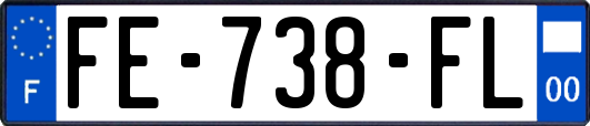 FE-738-FL