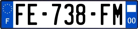 FE-738-FM