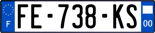 FE-738-KS