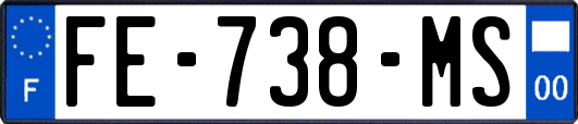 FE-738-MS