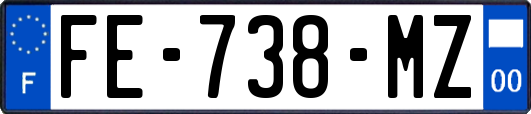 FE-738-MZ