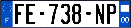 FE-738-NP