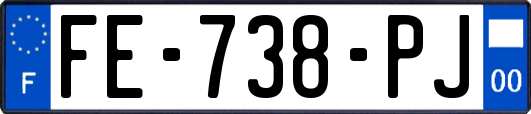 FE-738-PJ