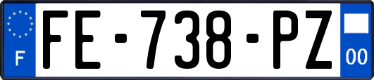 FE-738-PZ