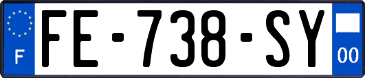FE-738-SY