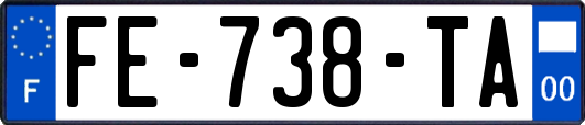 FE-738-TA