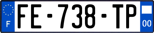 FE-738-TP
