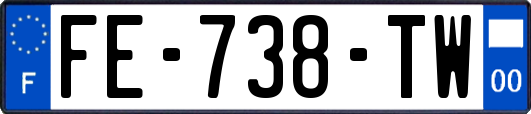 FE-738-TW