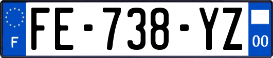 FE-738-YZ