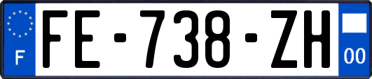 FE-738-ZH