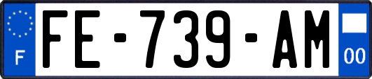 FE-739-AM