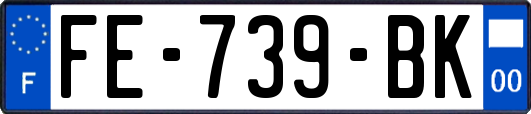 FE-739-BK