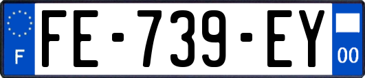FE-739-EY