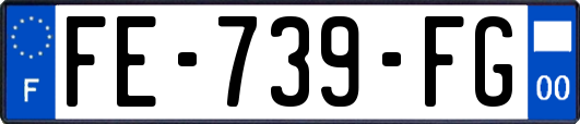 FE-739-FG