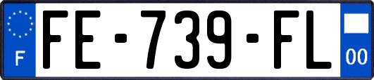 FE-739-FL