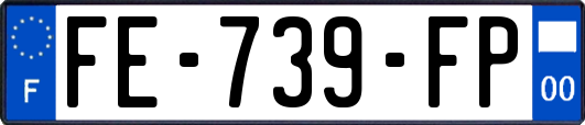 FE-739-FP