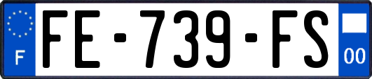 FE-739-FS