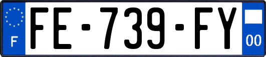 FE-739-FY