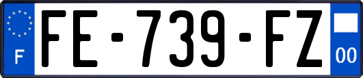 FE-739-FZ
