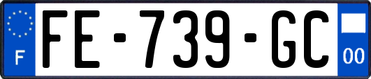 FE-739-GC