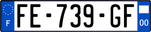 FE-739-GF