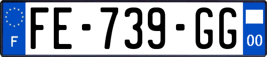 FE-739-GG